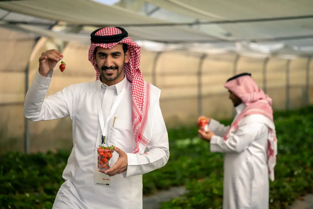 رحلة الإبداع الأدبي في عسير